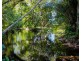 74 Vipiana Dr, Tully Heads QLD 4854