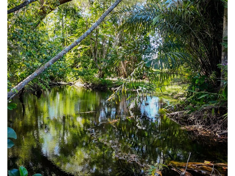 74 Vipiana Dr, Tully Heads QLD 4854