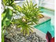 34 Koda St, Wongaling Beach QLD 4852