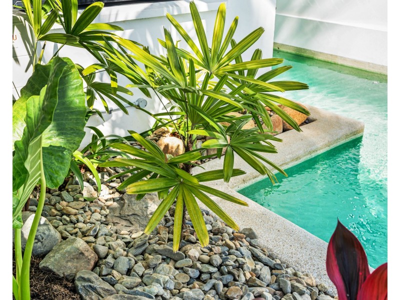 34 Koda St, Wongaling Beach QLD 4852