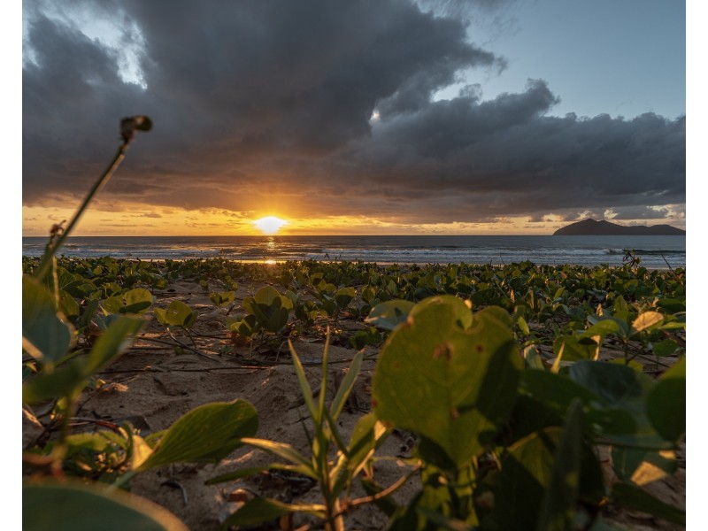 34 Koda St, Wongaling Beach QLD 4852