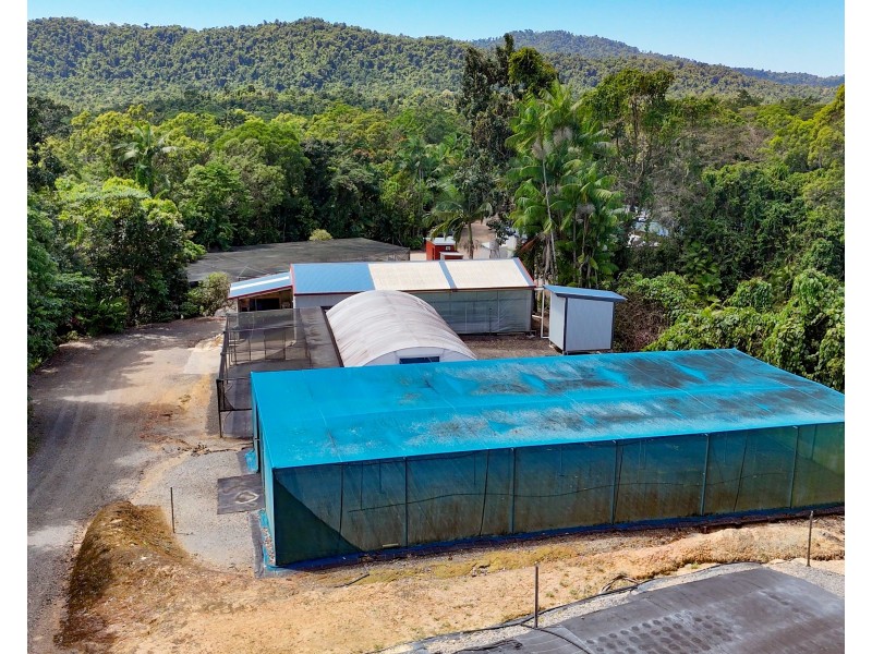 62 Mountain View Cl, Maria Creeks QLD 4855