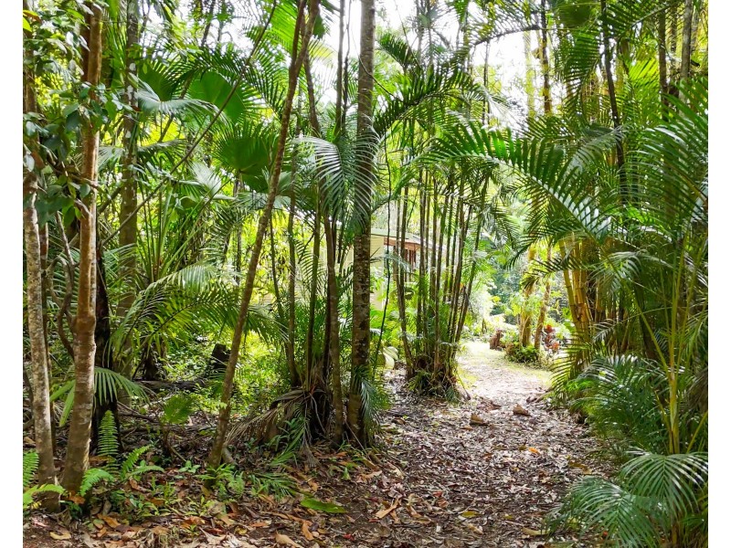 65 Garners Beach Rd, Garners Beach QLD 4852