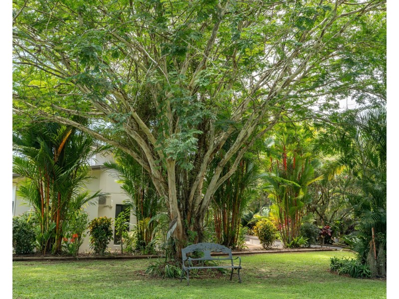 14 Sanctuary Cres, Wongaling Beach QLD 4852