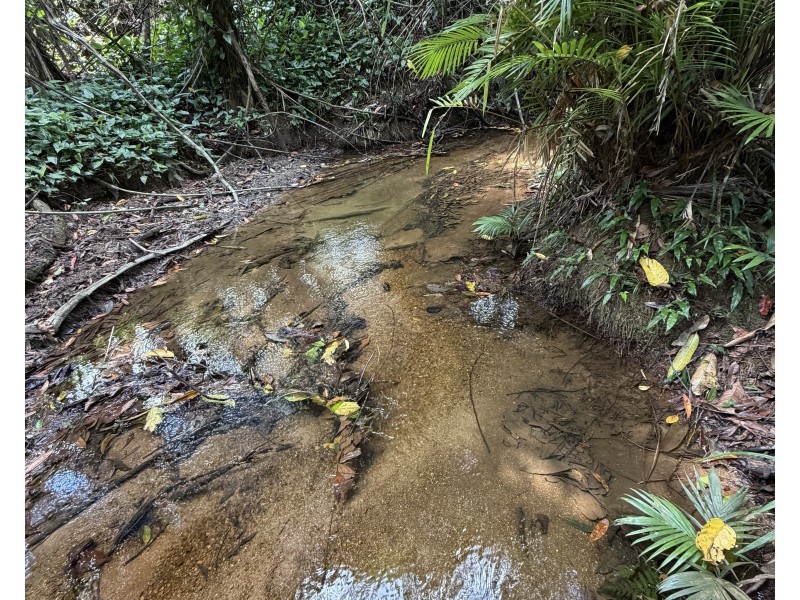 601 Bulgun Rd, Feluga QLD 4854