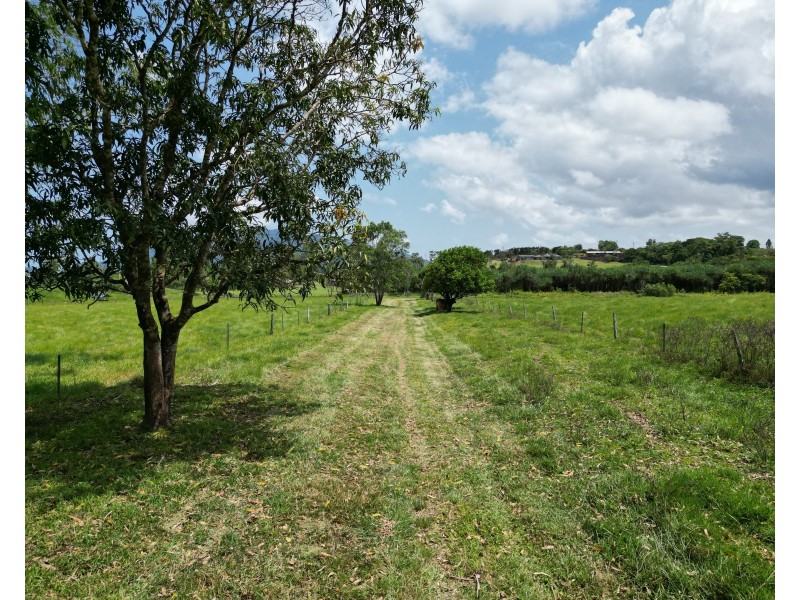 601 Bulgun Rd, Feluga QLD 4854