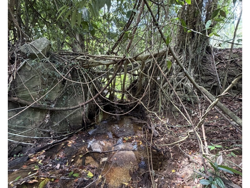 601 Bulgun Rd, Feluga QLD 4854