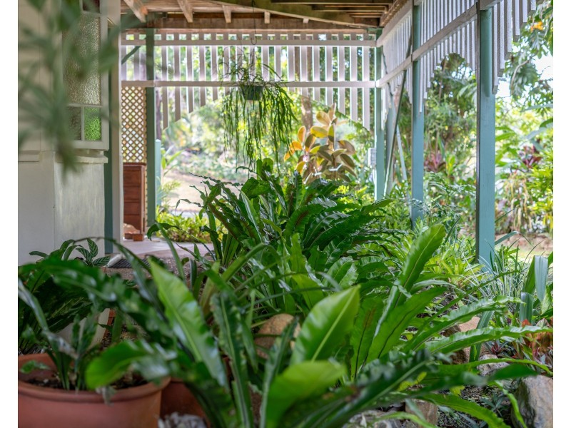 6 Timana Tce, Wongaling Beach QLD 4852