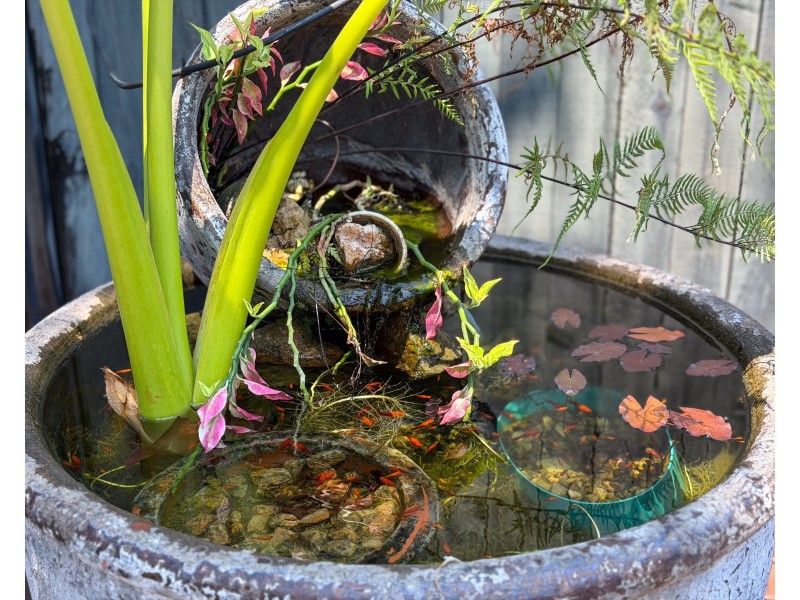 14 Pacific View Drive, Wongaling Beach QLD 4852