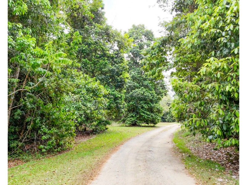 629 Tully Gorge Rd, Jarra Creek QLD 4854