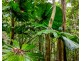 28 Mission Circle, Wongaling Beach QLD 4852