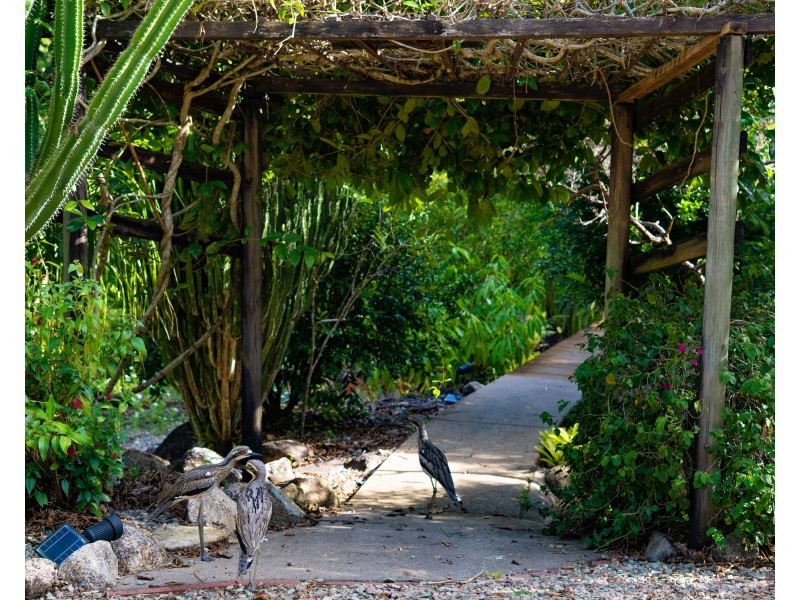 11 Mission Cir, Wongaling Beach QLD 4852