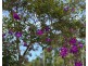 52 Dunkalli Cres, Wongaling Beach QLD 4852