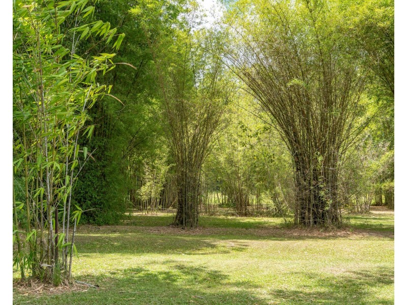 39 O’Hanlon Rd, Feluga QLD 4854