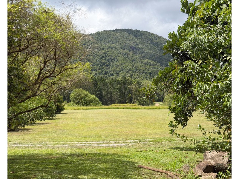 39 O’Hanlon Rd, Feluga QLD 4854