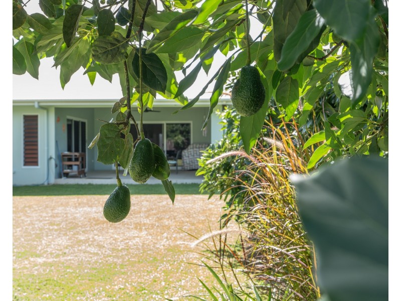 11 Nivosa Ct, Mission Beach QLD 4852