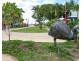 8 Coonanglebah Close, Mission Beach QLD 4852