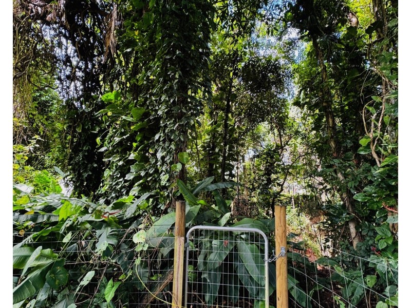 13 Webb Ct, Bingil Bay QLD 4852