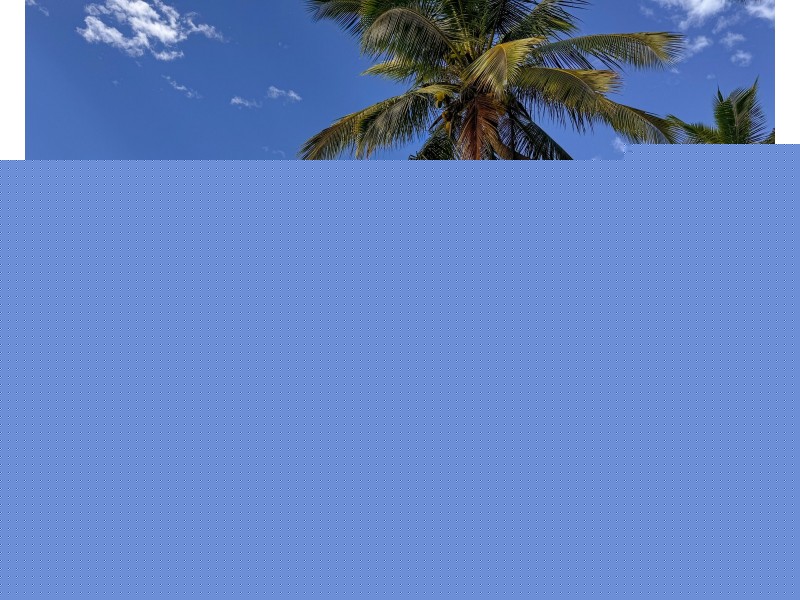 61 Cutten Street, Bingil Bay QLD 4852