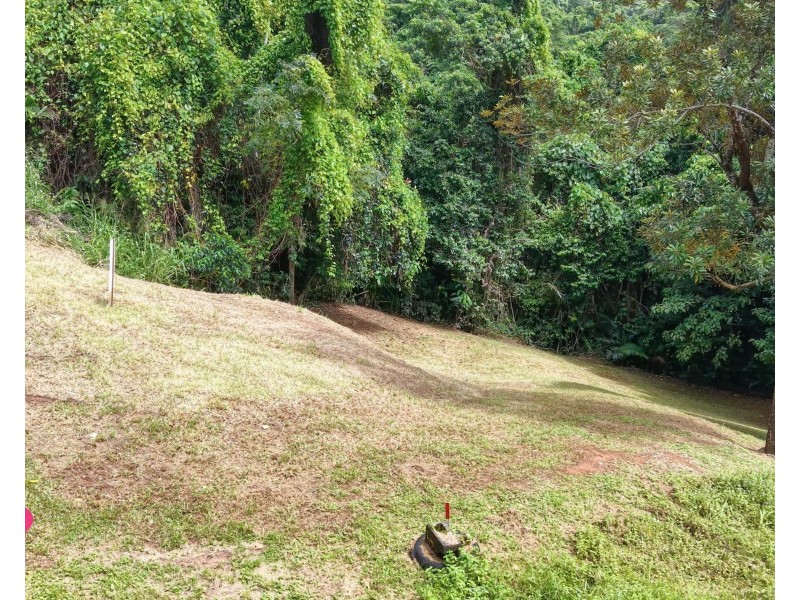 66 Cutten Street, Bingil Bay QLD 4852