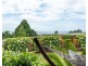 6 Unsworth Dr, Mission Beach QLD 4852