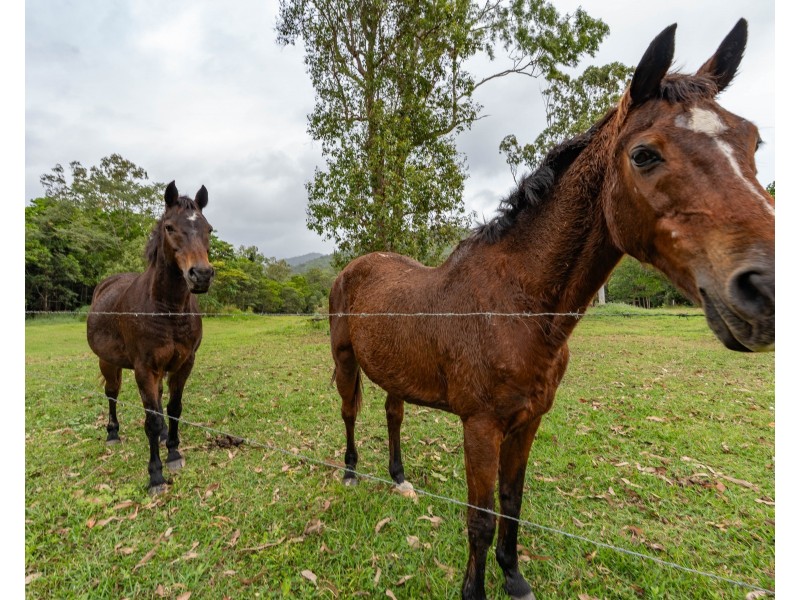 400 Appleyard Road, Bilyana QLD 4854