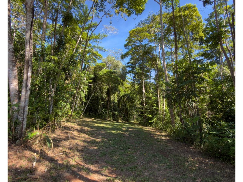 60 Dunkalli Crescent, Wongaling Beach QLD 4852