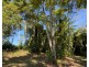 60 Dunkalli Crescent, Wongaling Beach QLD 4852