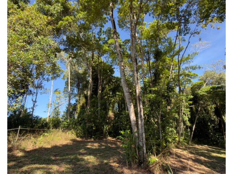 60 Dunkalli Crescent, Wongaling Beach QLD 4852