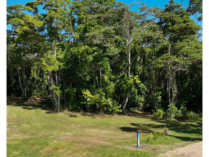 60 Dunkalli Crescent, Wongaling Beach QLD 4852