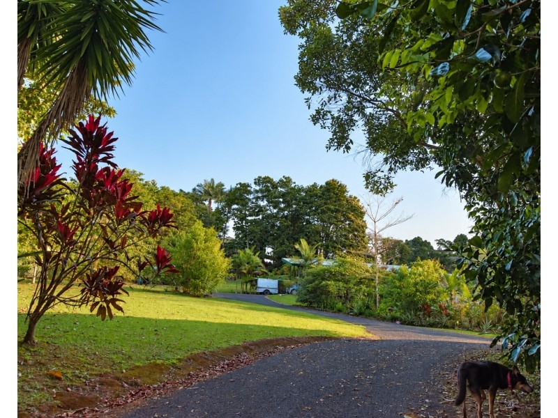 19 Bamber Street, Tully QLD 4854