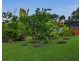 19 Bamber Street, Tully QLD 4854