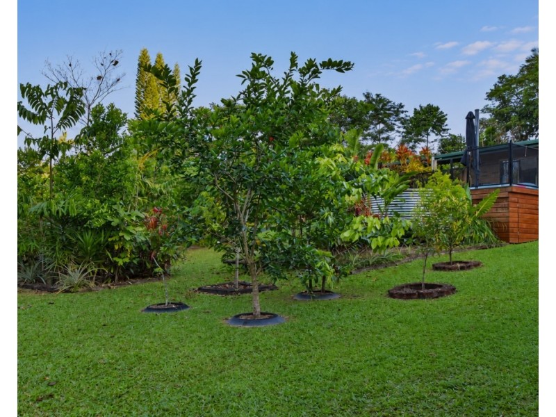 19 Bamber Street, Tully QLD 4854