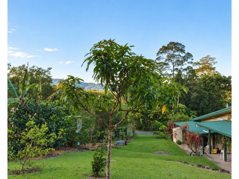 19 Bamber Street, Tully QLD 4854