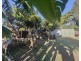 16 Jackey Jackey Street, South Mission Beach QLD 4852