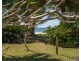 1/1 Conch Street, Mission Beach QLD 4852