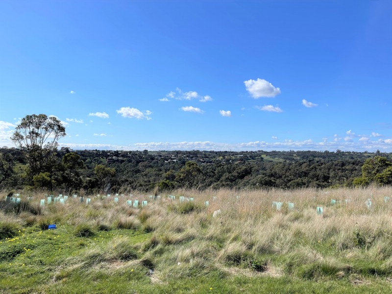 37 Rowan Drive, Kealba VIC 3021