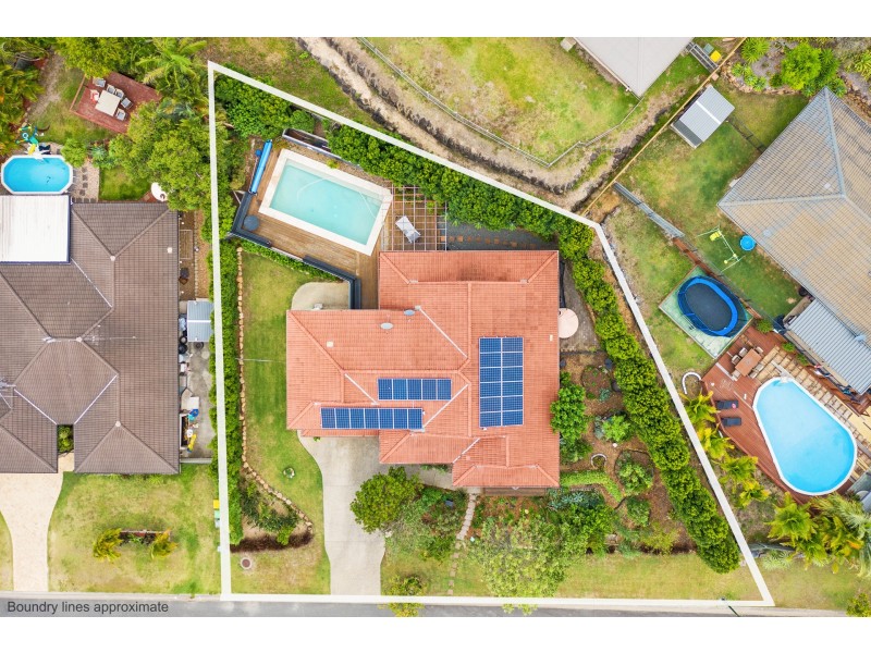 56 Forest-Oak Drive, Upper Coomera QLD 4209