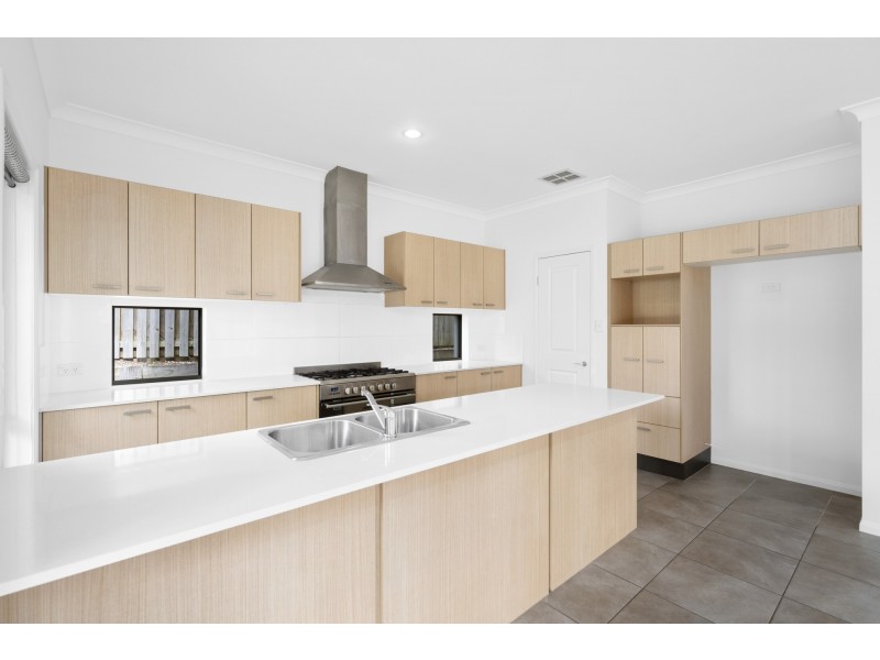 8 Cabriolet Ct, Upper Coomera QLD 4209