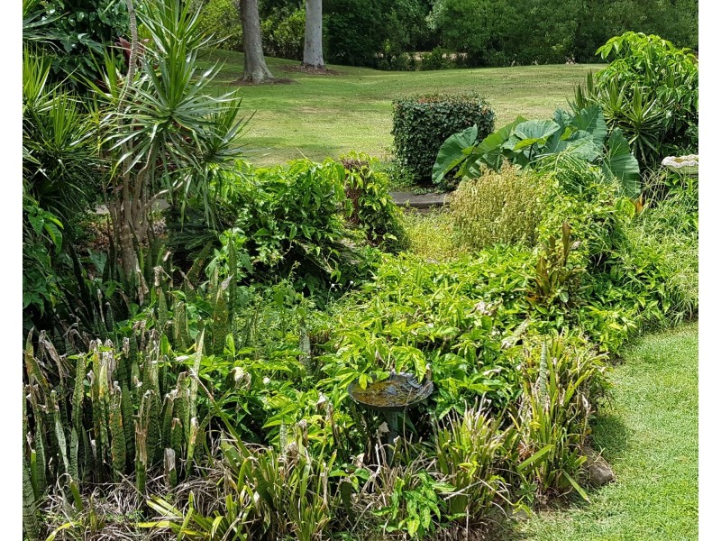 382 Bilambil Road, Tweed Heads NSW 2485