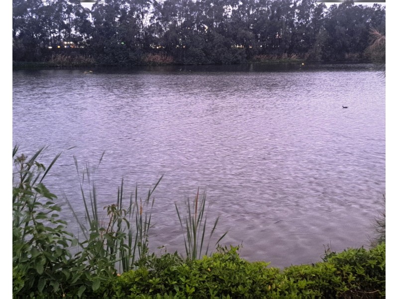 166 Port Jackson Bvd, Clear Island Waters QLD 4226