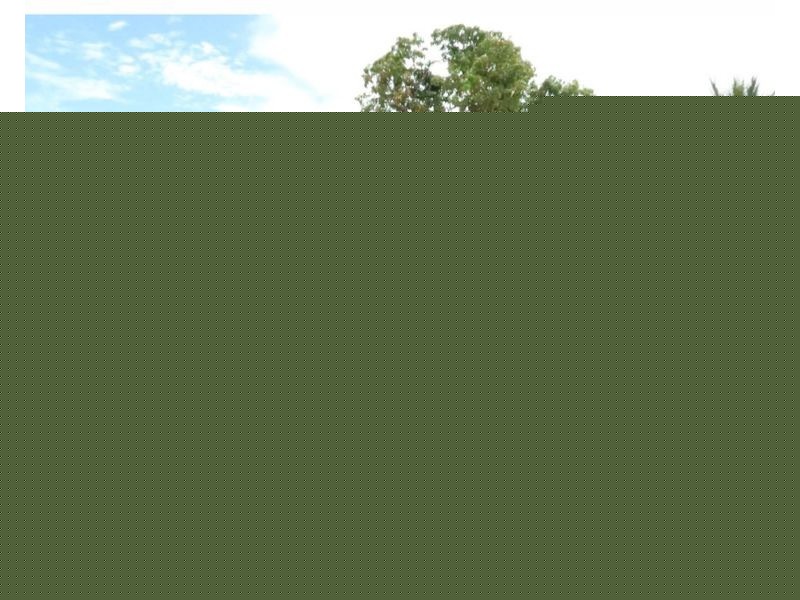 2A Welsh Street, South Hedland WA 6722