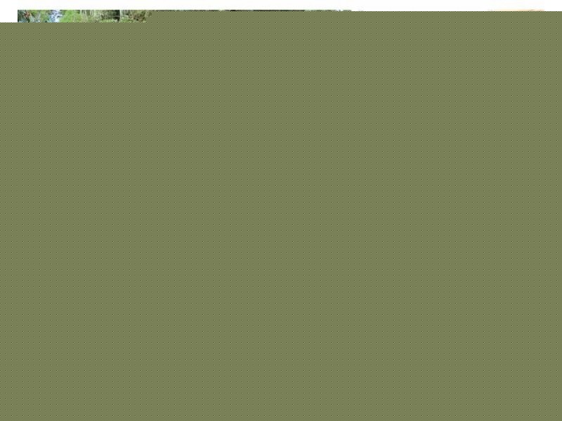 6 Haines Road, South Hedland WA 6722