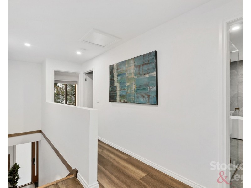 12 Douglas Street, Pascoe Vale VIC 3044