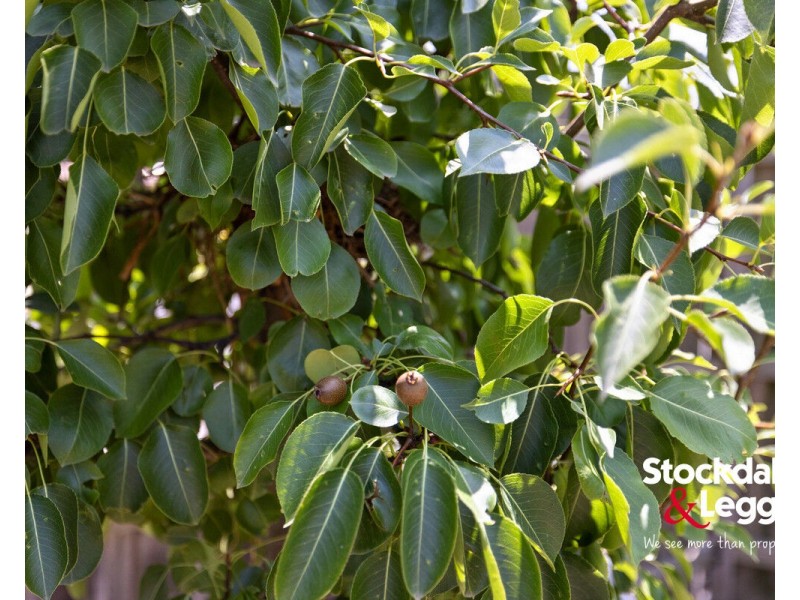 2 Carlisle Court, Campbellfield VIC 3061