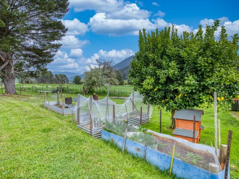 4 Dunstan Court, Eskdale VIC 3701