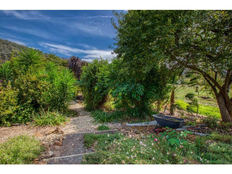 35 LITTLE SNOWY CREEK ROAD, Eskdale VIC 3701