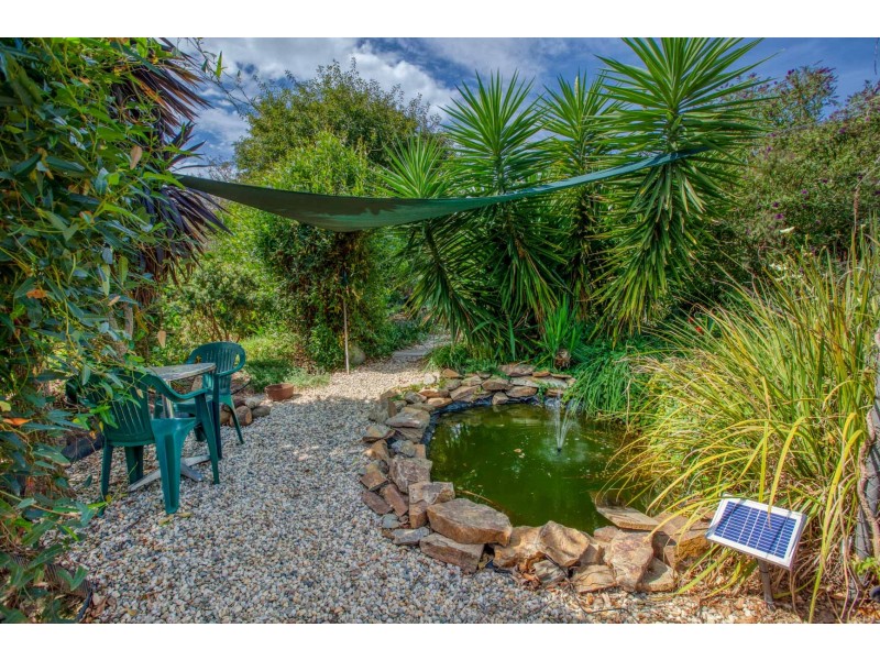 35 LITTLE SNOWY CREEK ROAD, Eskdale VIC 3701
