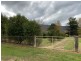3793 Omeo Highway, Eskdale VIC 3701