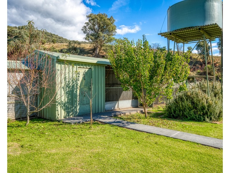 3746 OMEO HIGHWAY, Eskdale VIC 3701